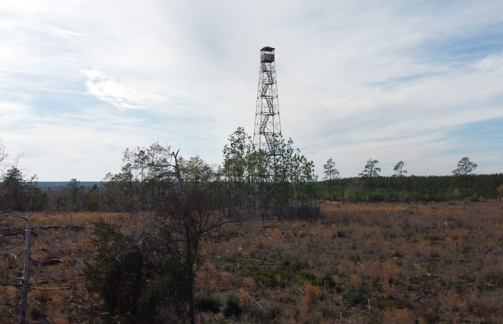 Coon Hill Cemetery Jay Fl Jackson's Ramblings